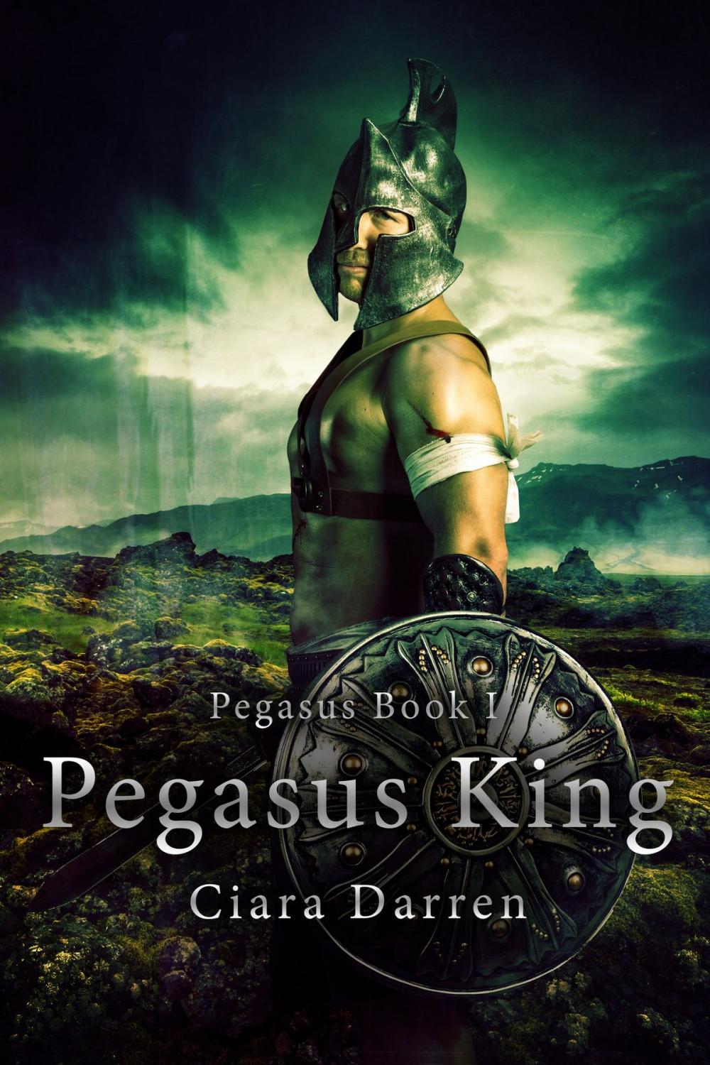 Big bigCover of Pegasus King