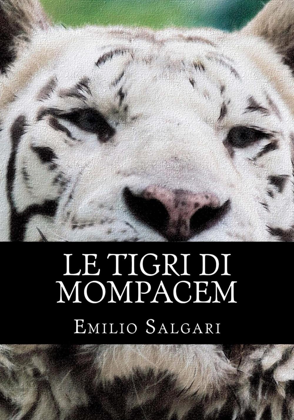 Big bigCover of Le tigri di Mompacem