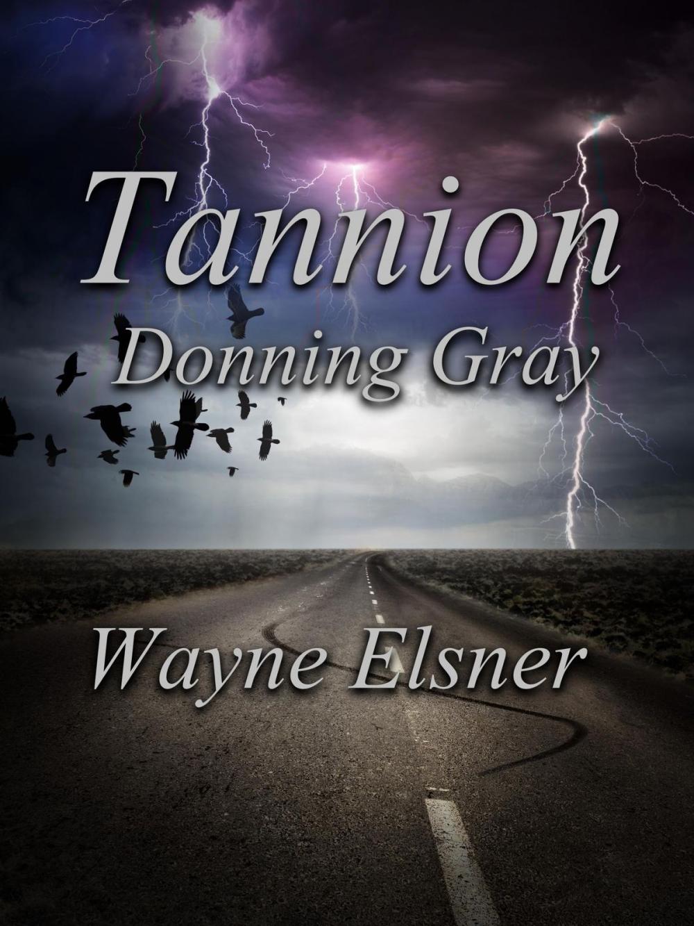 Big bigCover of Tannion Donning Gray