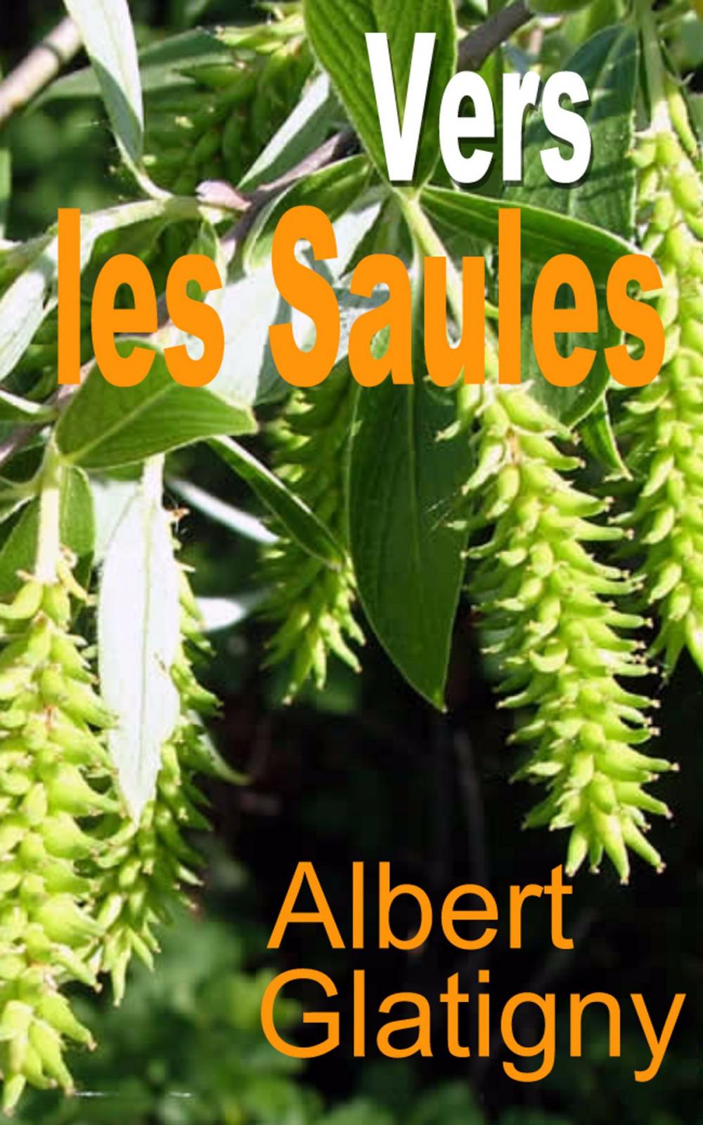 Big bigCover of Vers les saules