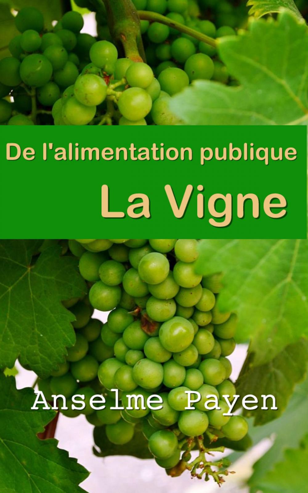 Big bigCover of De l’alimentation publique : la vigne