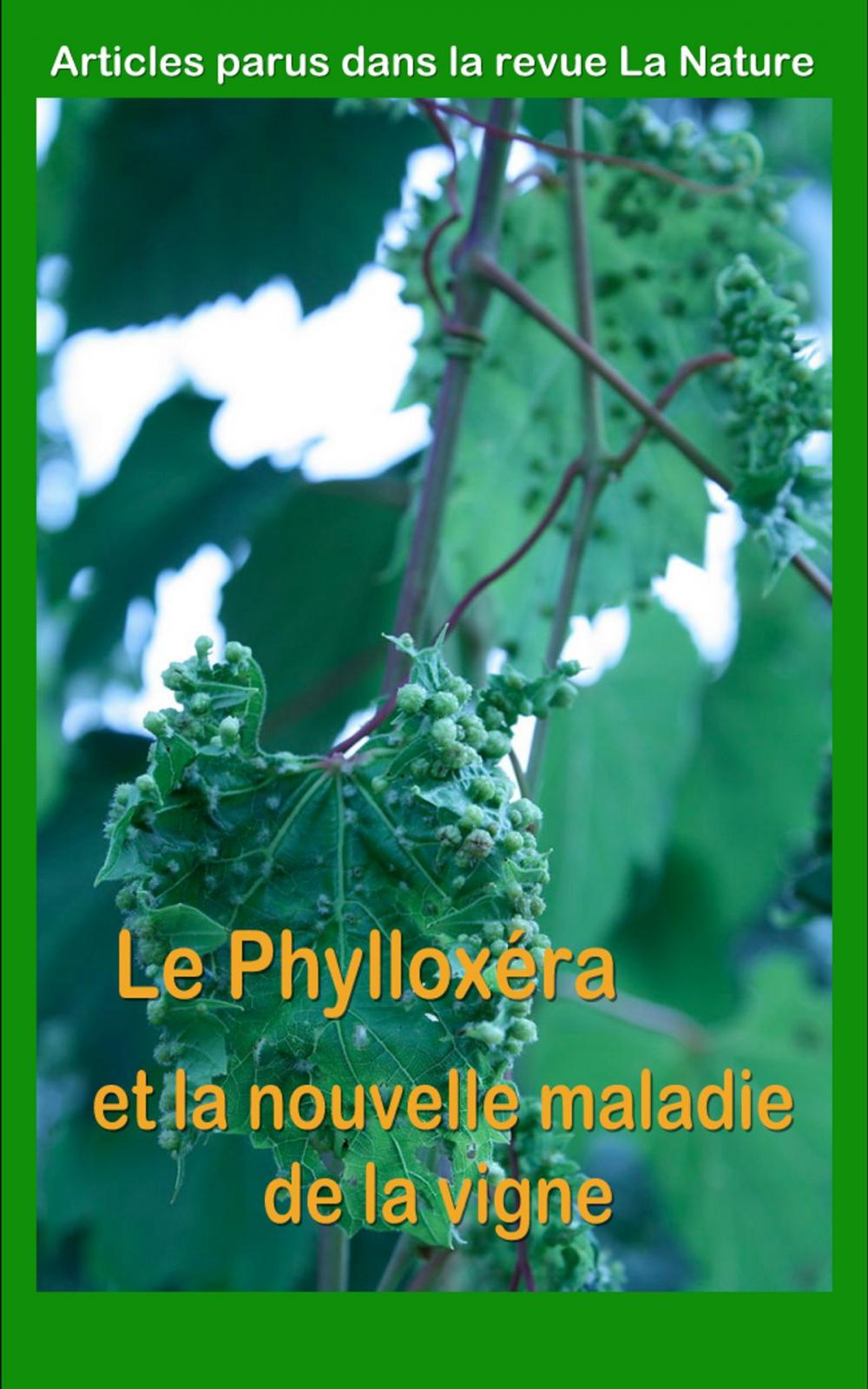 Big bigCover of Le Phylloxéra et la nouvelle maladie de la vigne