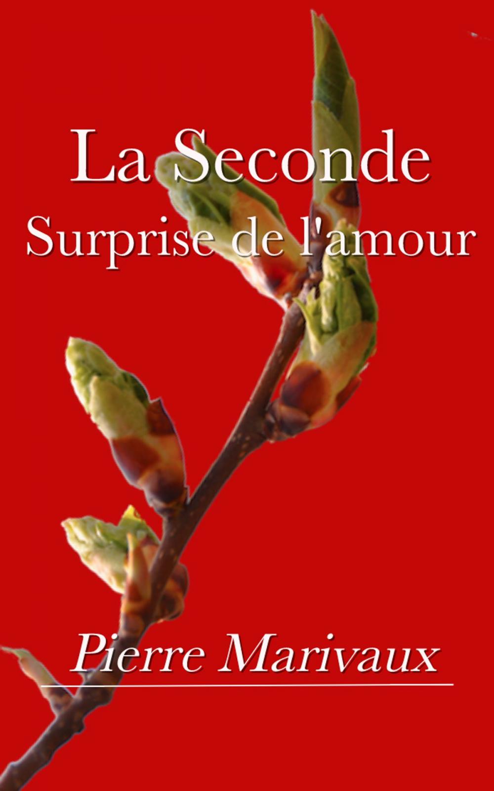 Big bigCover of La Seconde Surprise de l’amour