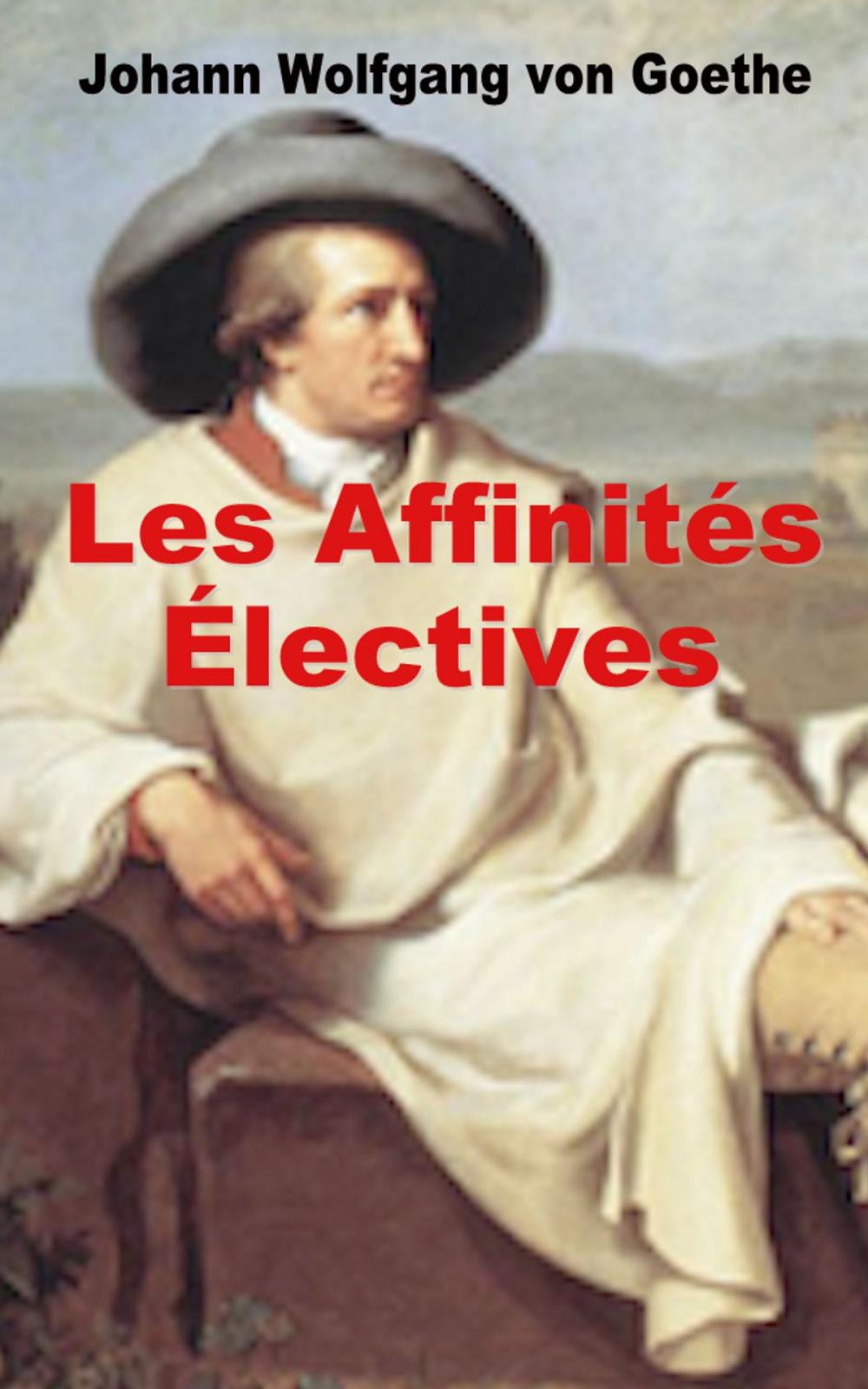 Big bigCover of Les Affinités électives