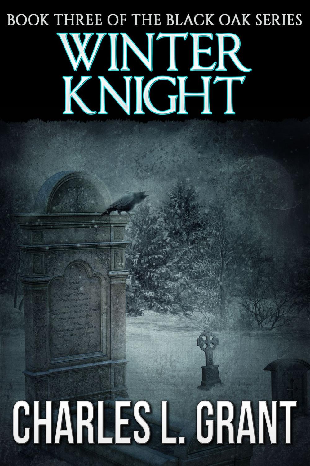 Big bigCover of Black Oak 3: Winter Knight