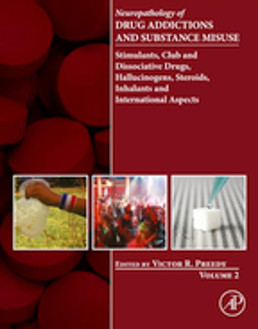 Big bigCover of Neuropathology of Drug Addictions and Substance Misuse Volume 2