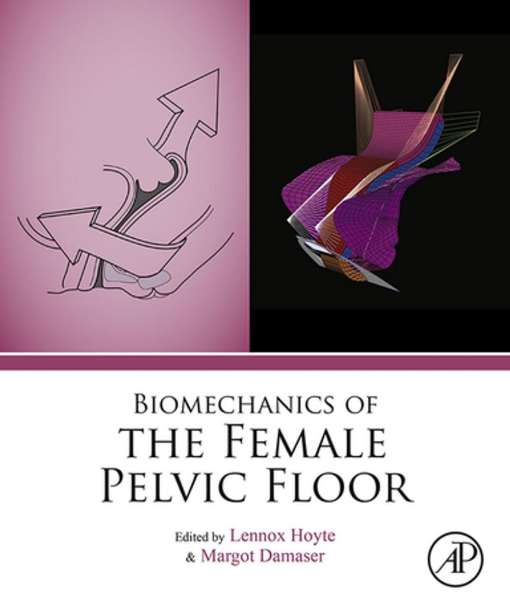 Big bigCover of Biomechanics of the Female Pelvic Floor