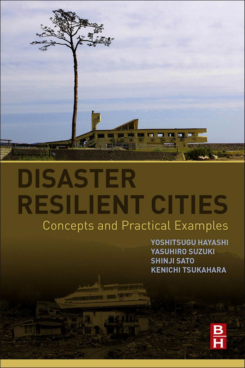 Big bigCover of Disaster Resilient Cities