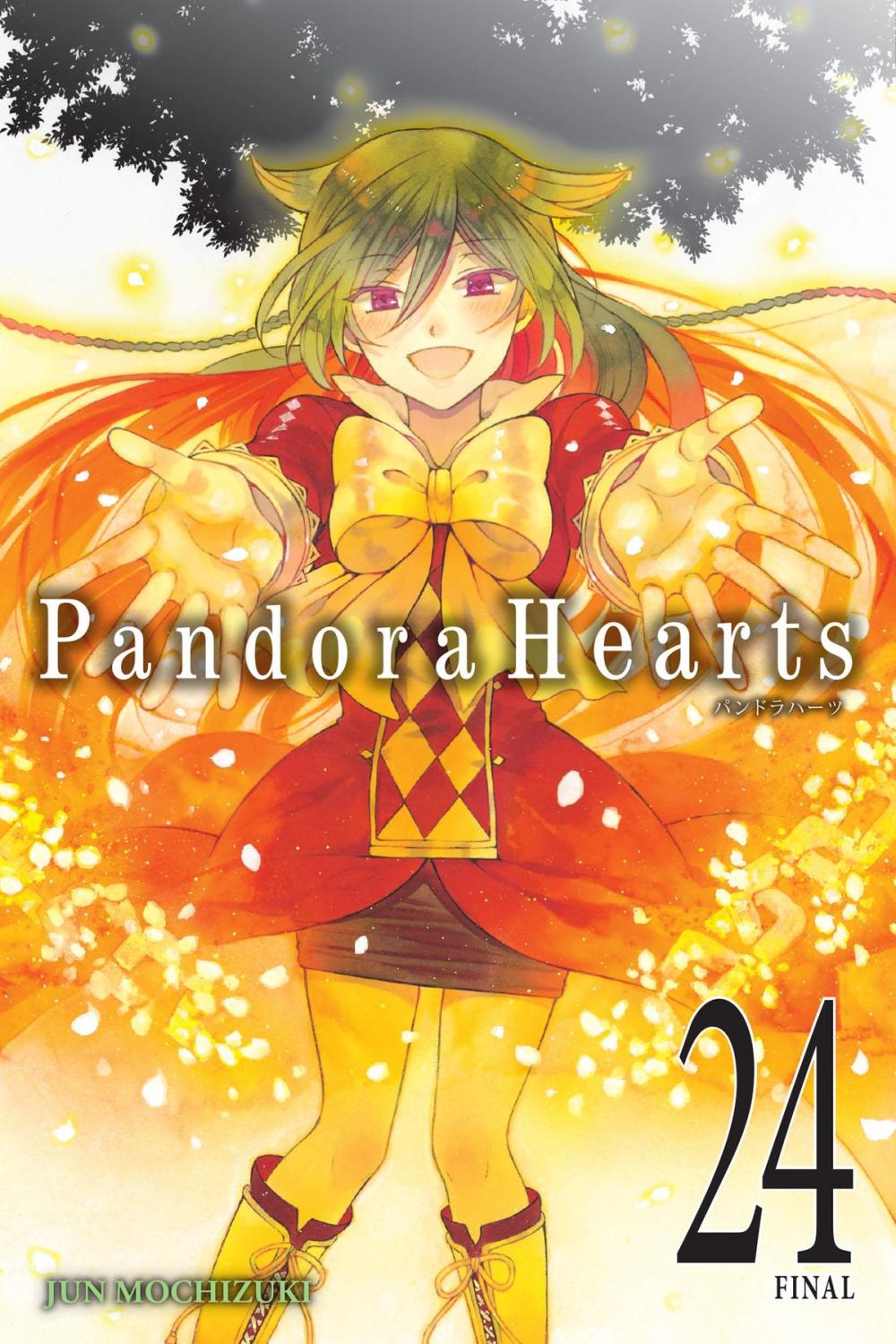 Big bigCover of PandoraHearts, Vol. 24