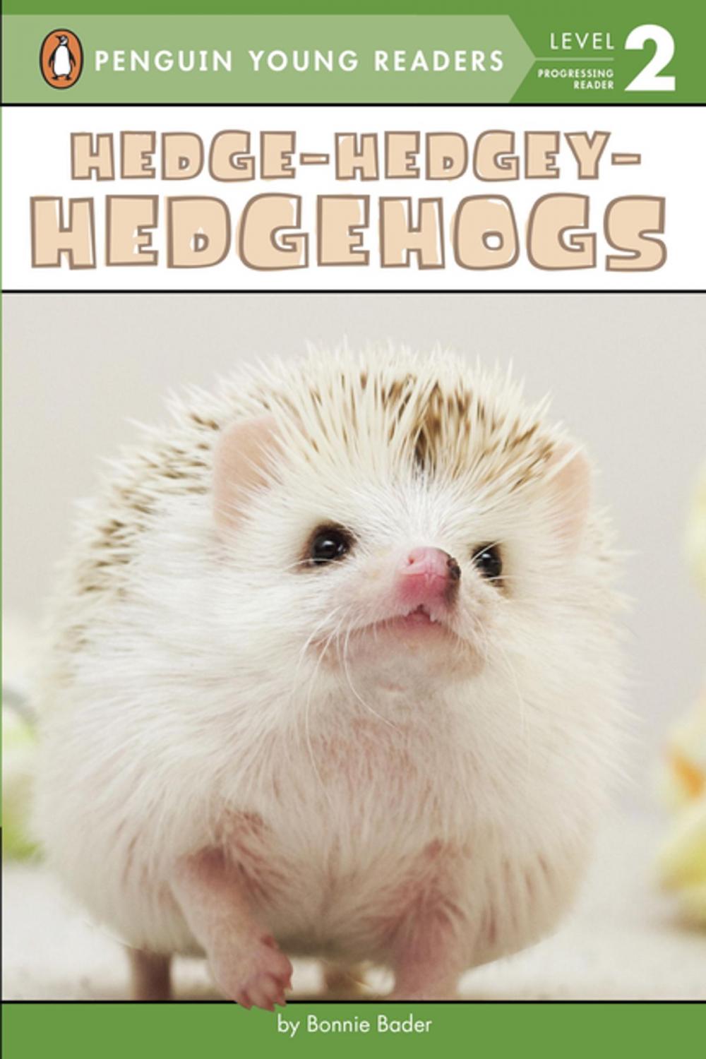 Big bigCover of Hedge-Hedgey-Hedgehogs