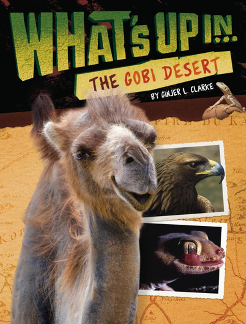 Big bigCover of What's Up in the Gobi Desert