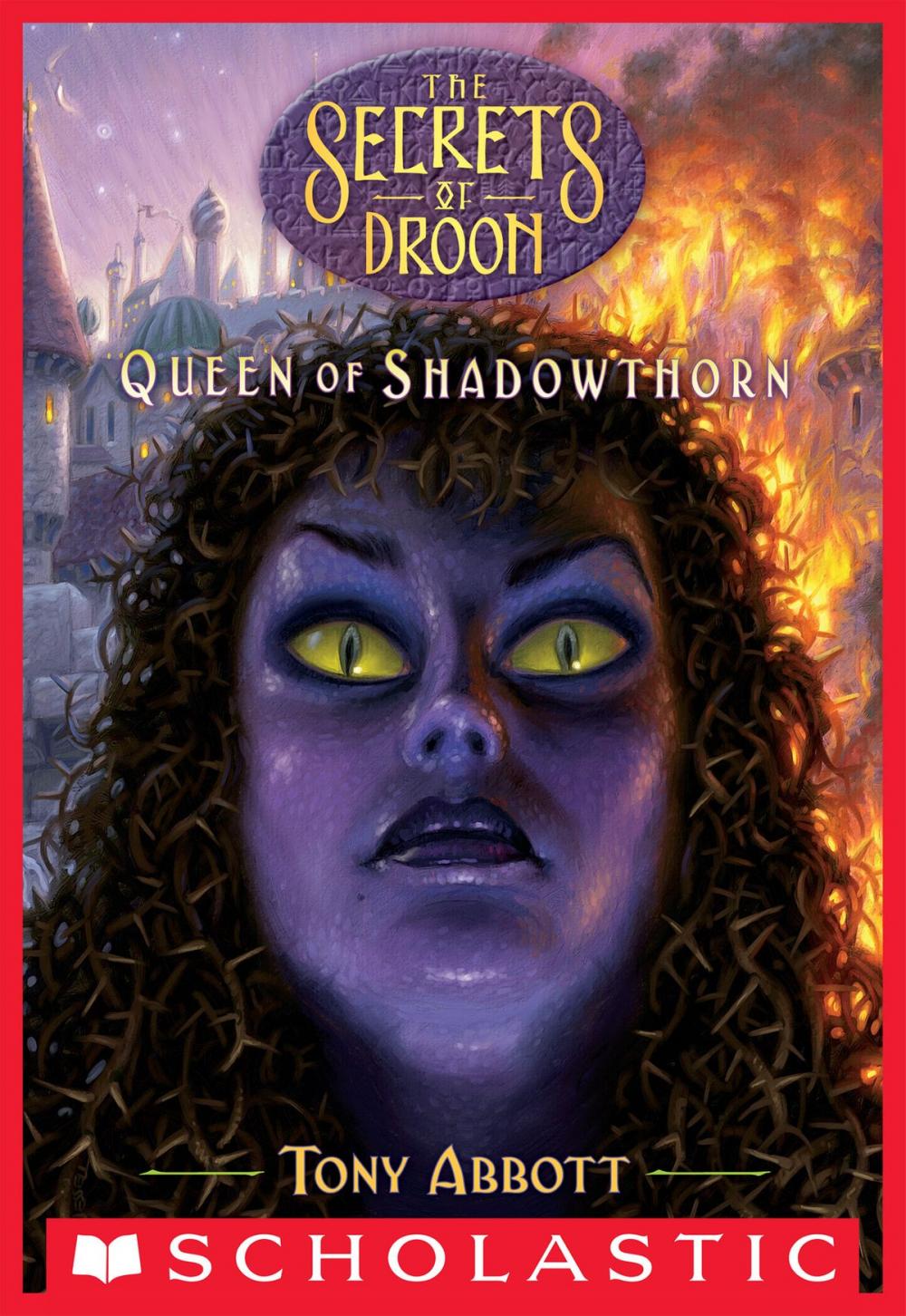 Big bigCover of Queen of Shadowthorn (The Secrets of Droon #31)