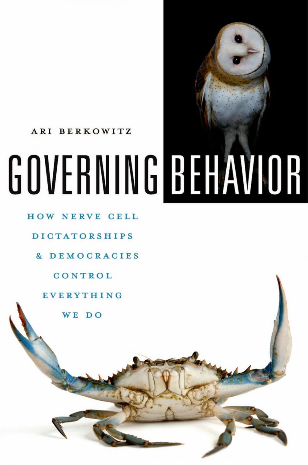 Big bigCover of Governing Behavior