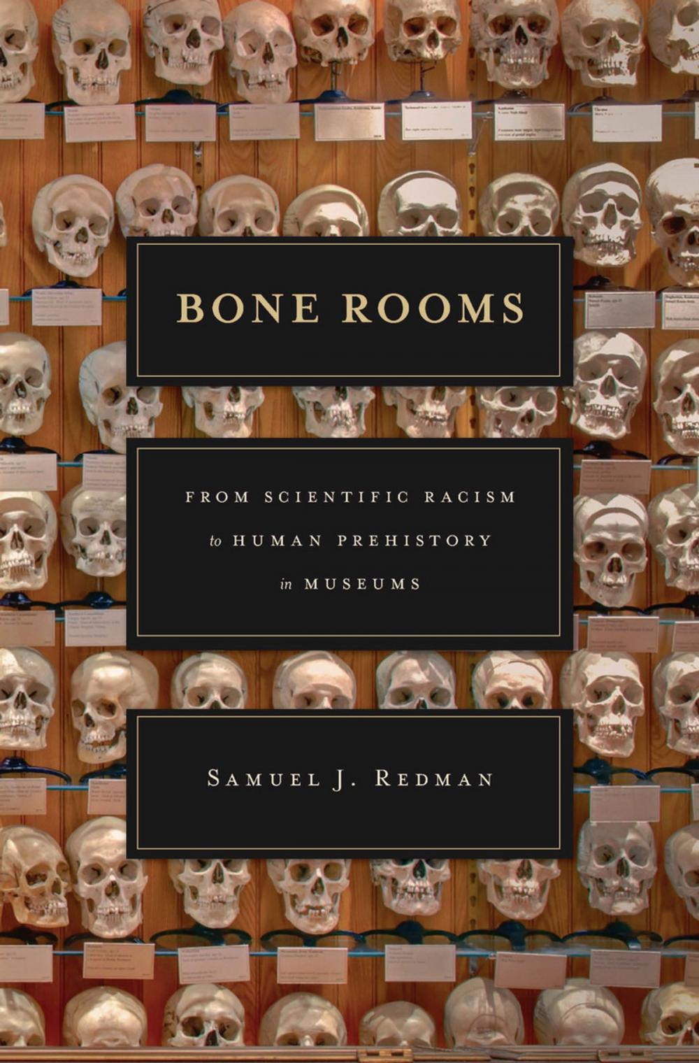 Big bigCover of Bone Rooms