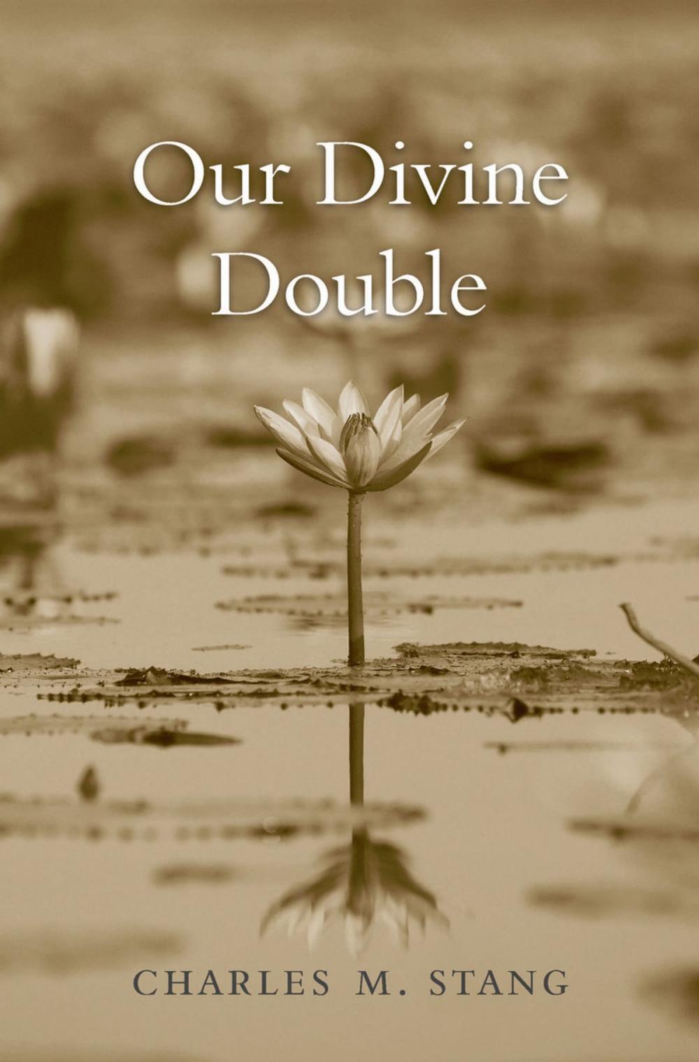 Big bigCover of Our Divine Double