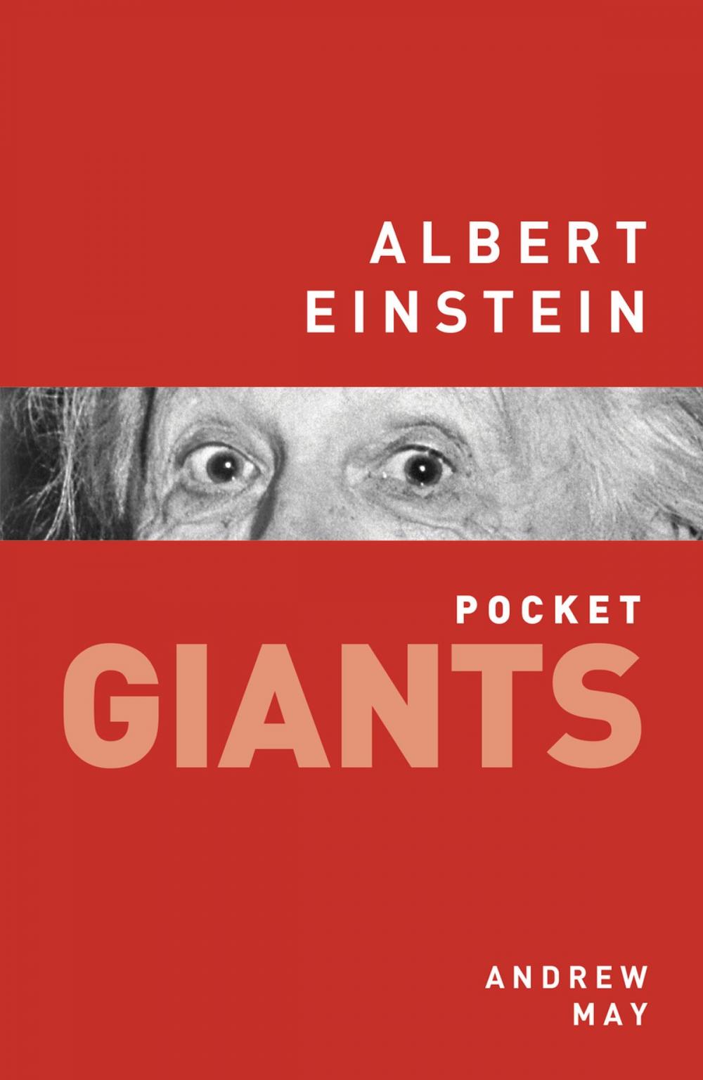 Big bigCover of Albert Einstein