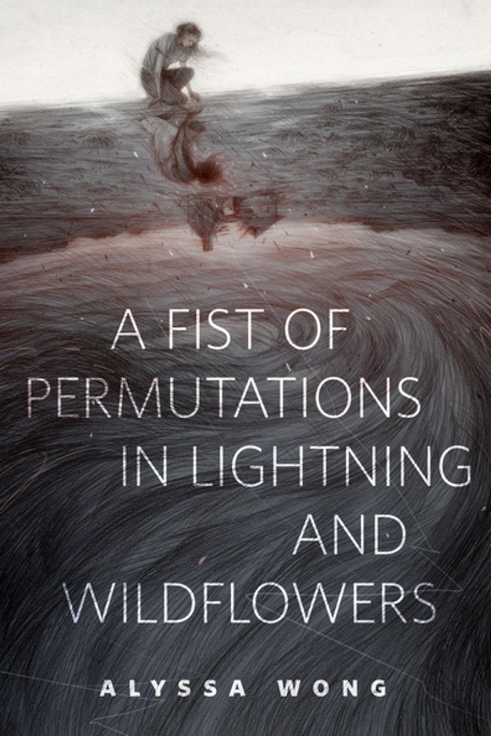 Big bigCover of A Fist of Permutations in Lightning and Wildflowers