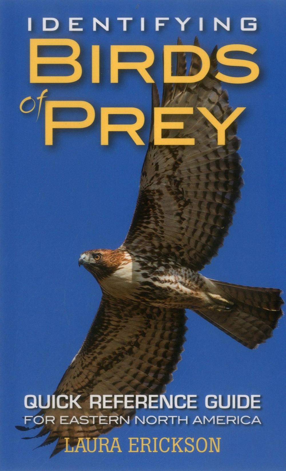 Big bigCover of Identifying Birds of Prey