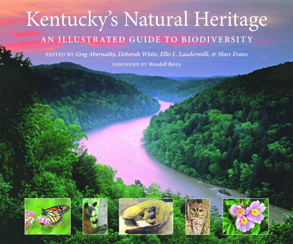 Big bigCover of Kentucky's Natural Heritage