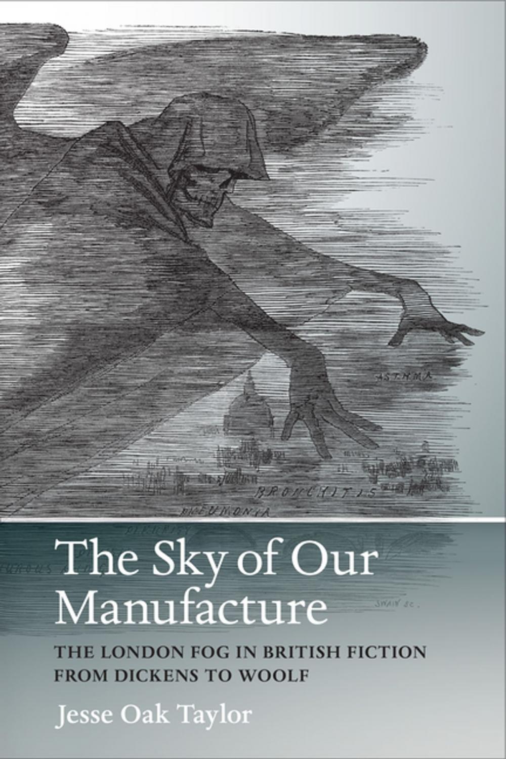 Big bigCover of The Sky of Our Manufacture