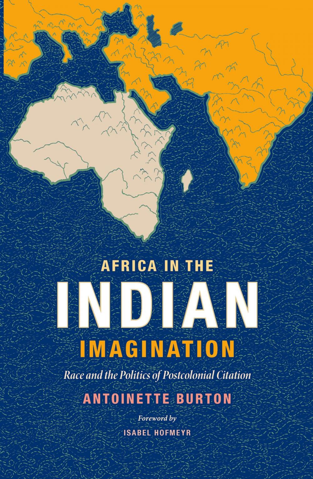 Big bigCover of Africa in the Indian Imagination