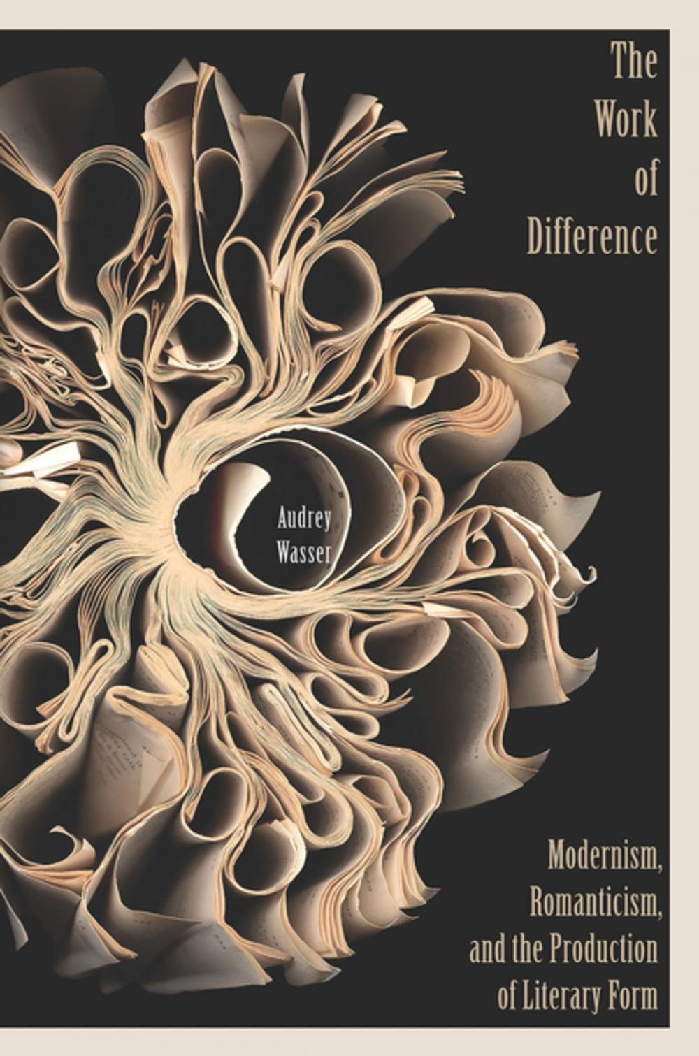 Big bigCover of The Work of Difference