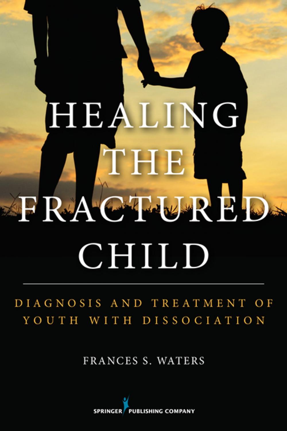 Big bigCover of Healing the Fractured Child