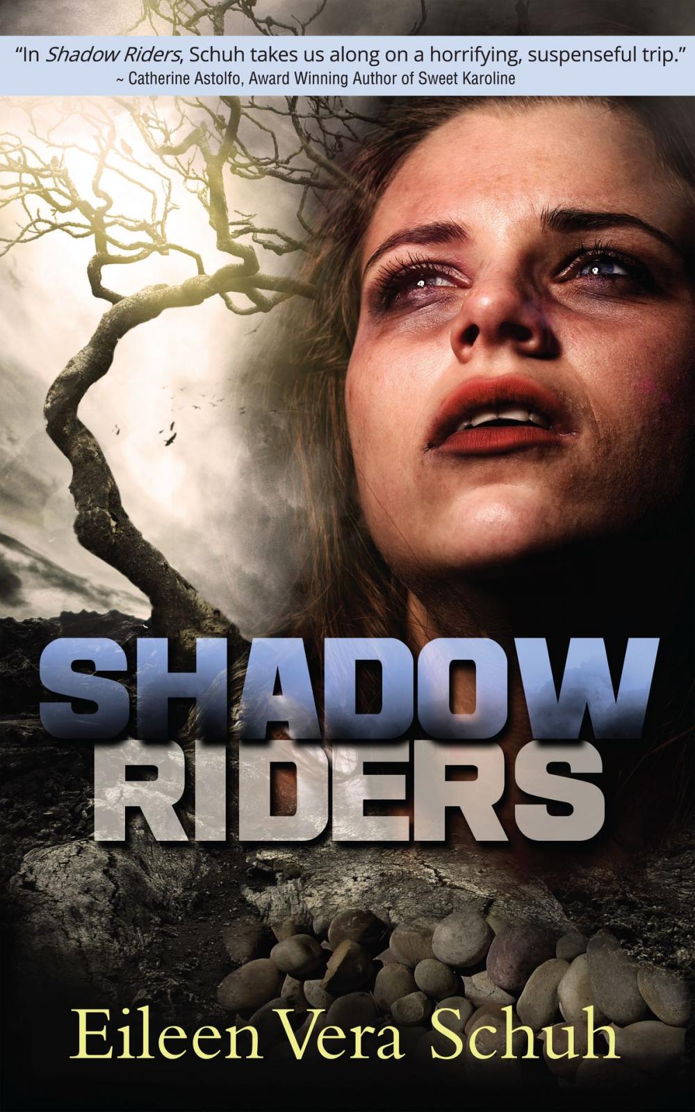 Big bigCover of Shadow Riders