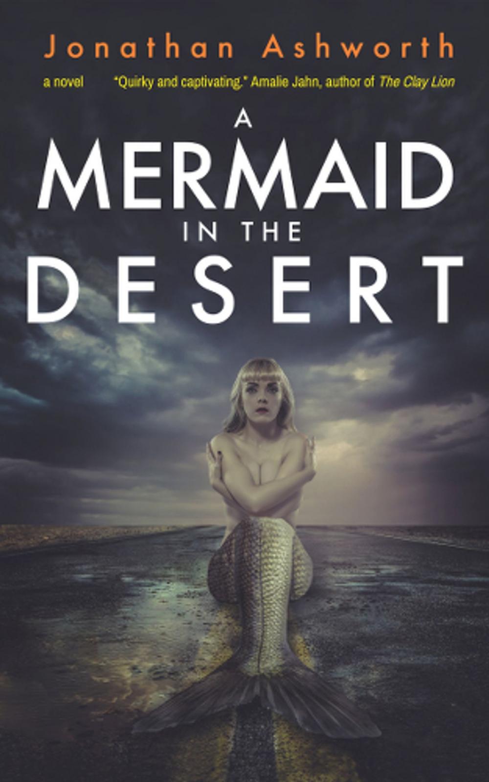 Big bigCover of A Mermaid in the Desert