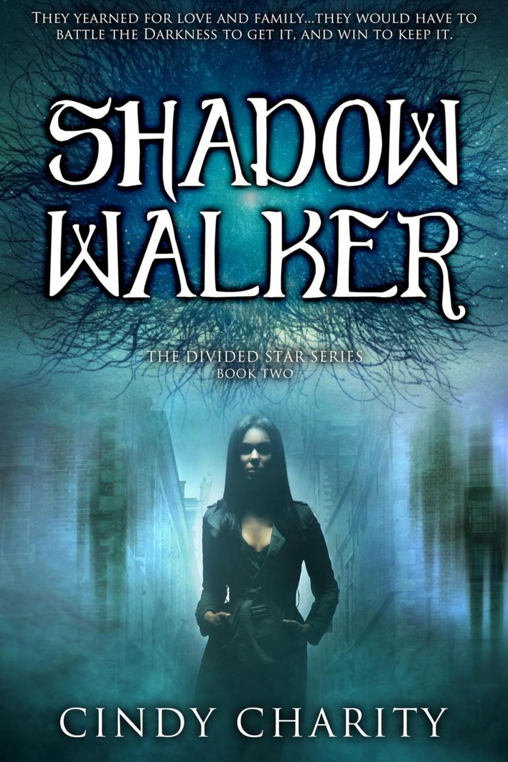 Big bigCover of Shadow Walker