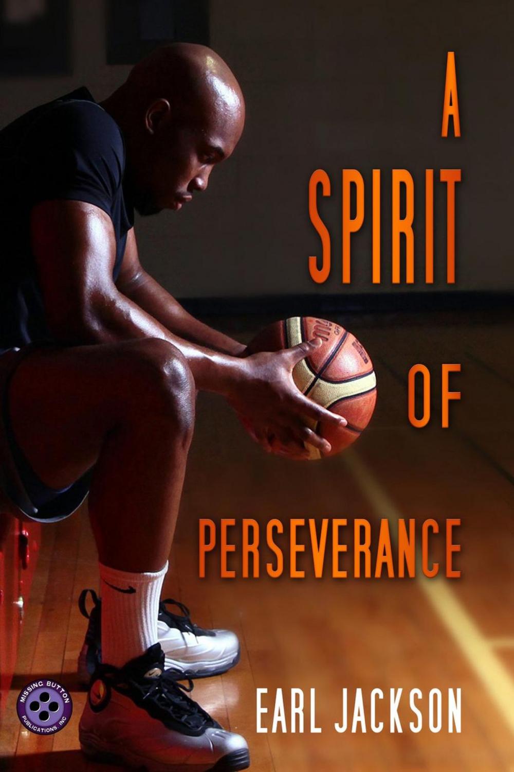 Big bigCover of A Spirit of Perseverance