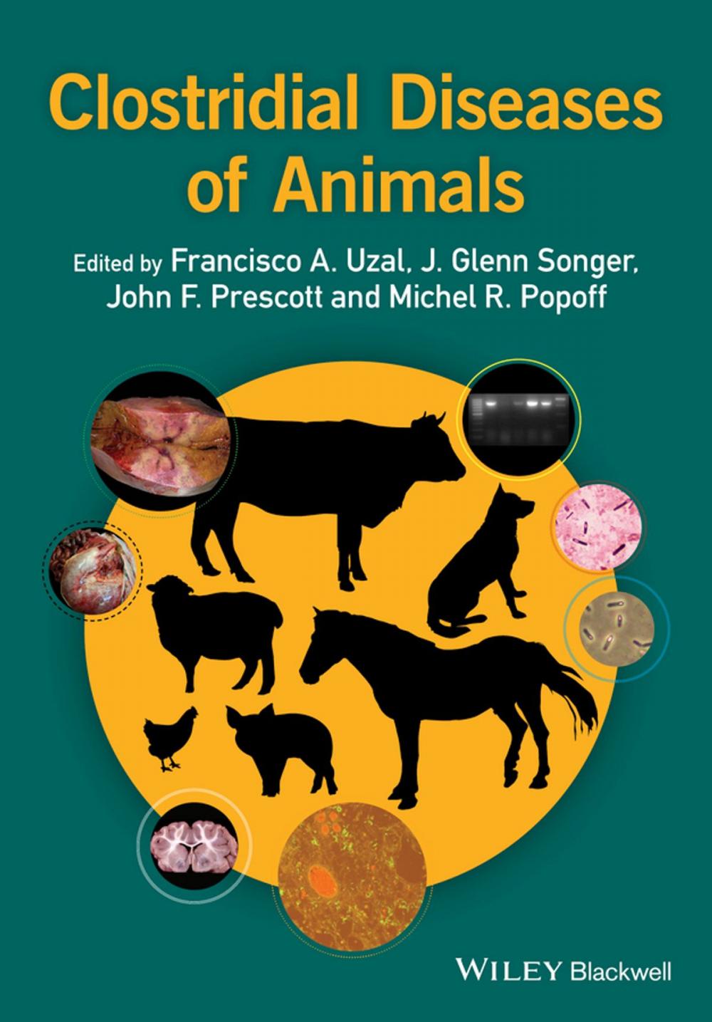 Big bigCover of Clostridial Diseases of Animals