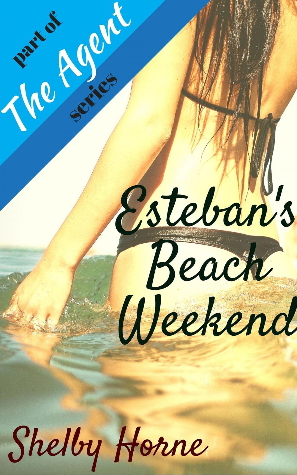 Big bigCover of Esteban's Beach Weekend