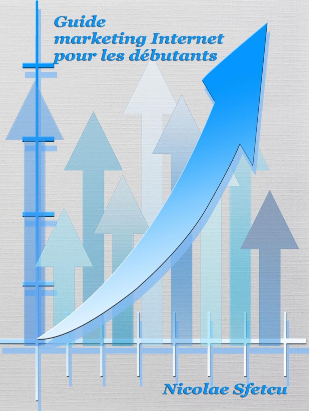 Big bigCover of Guide marketing Internet pour les débutants