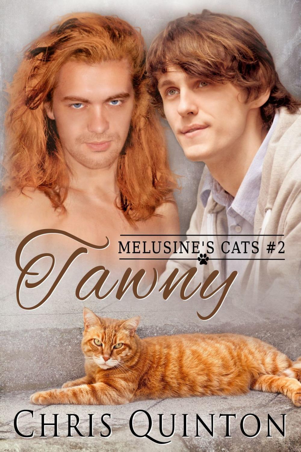 Big bigCover of Tawny: #2 Melusine's Cats