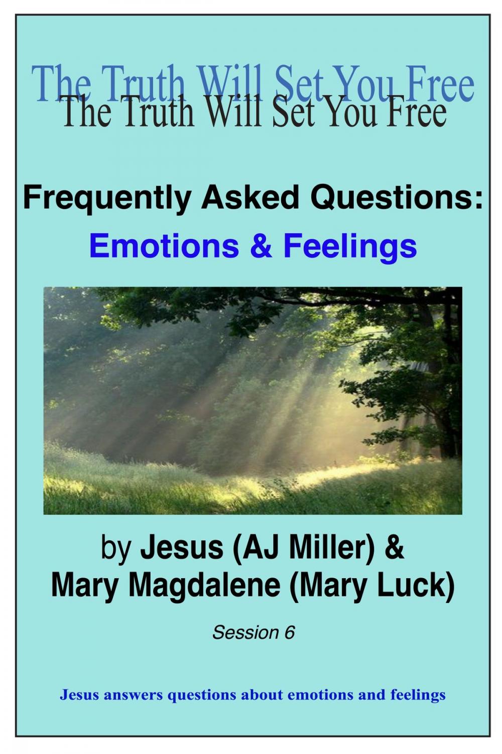 Big bigCover of Frequently Asked Questions: Emotions & Feelings Session 6