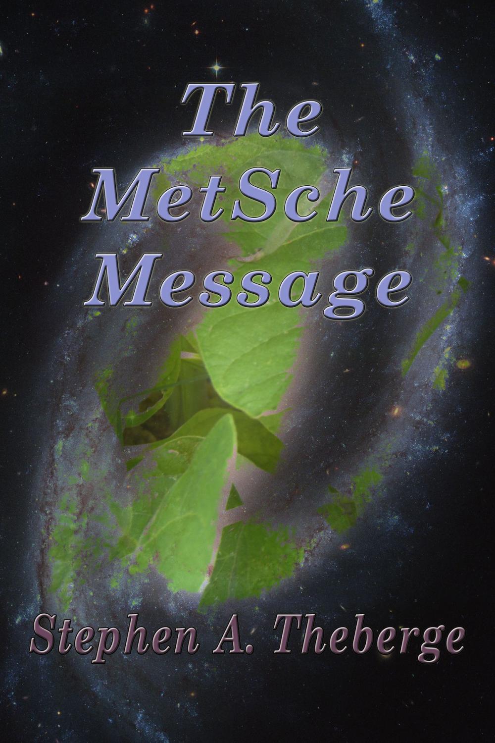 Big bigCover of The MetSche Message