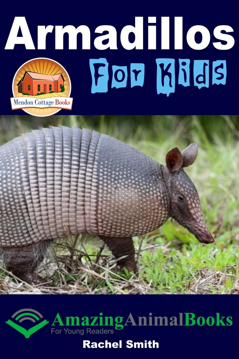 Big bigCover of Armadillos For Kids