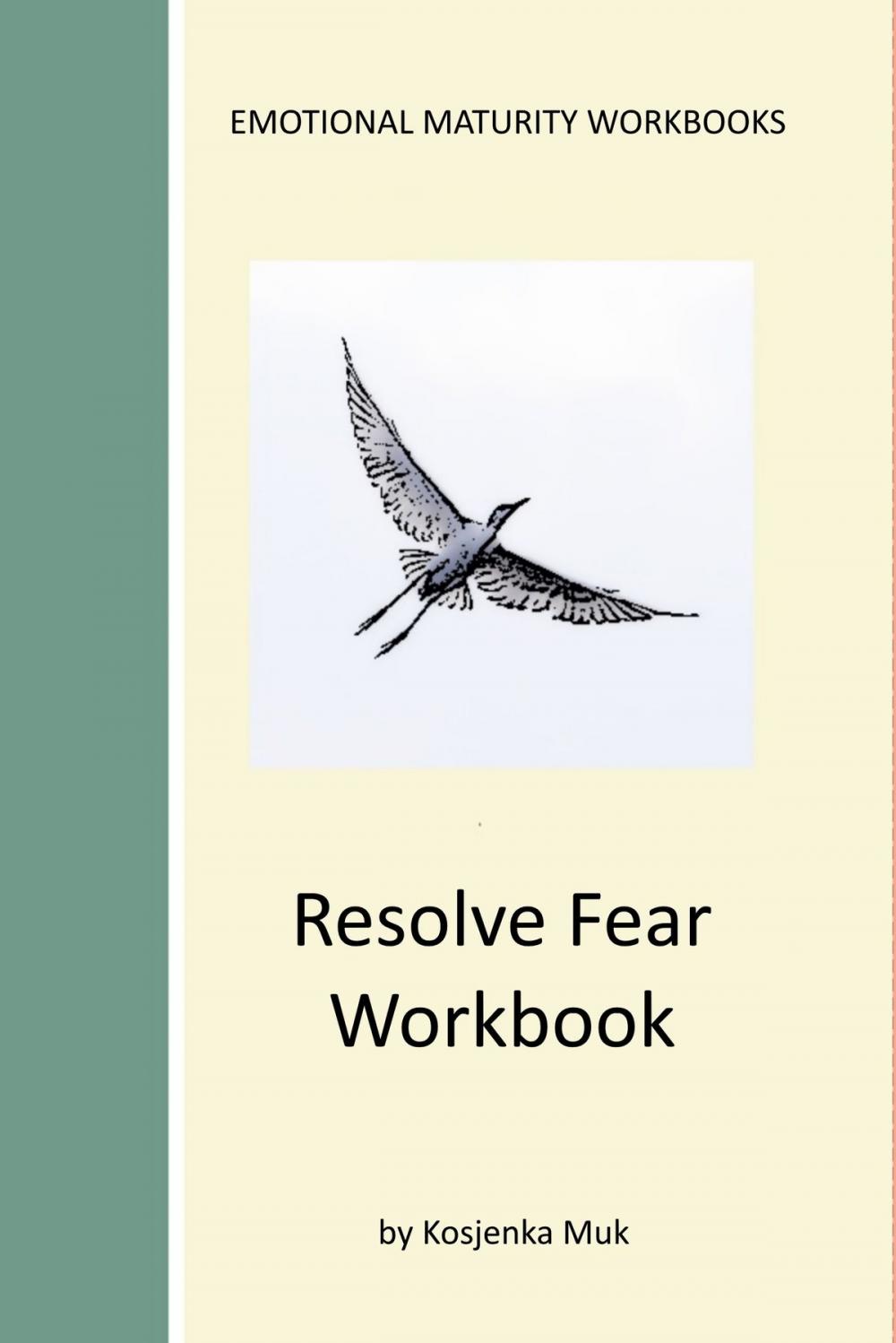 Big bigCover of Resolve Fear Workbook