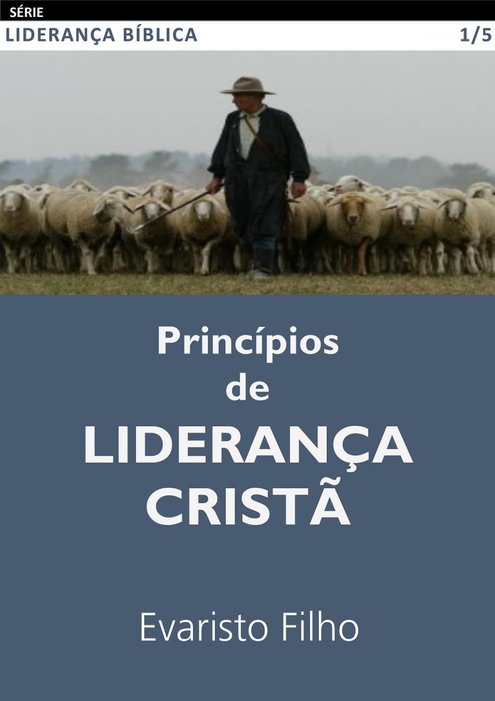 Big bigCover of Princípios de Liderança Cristã