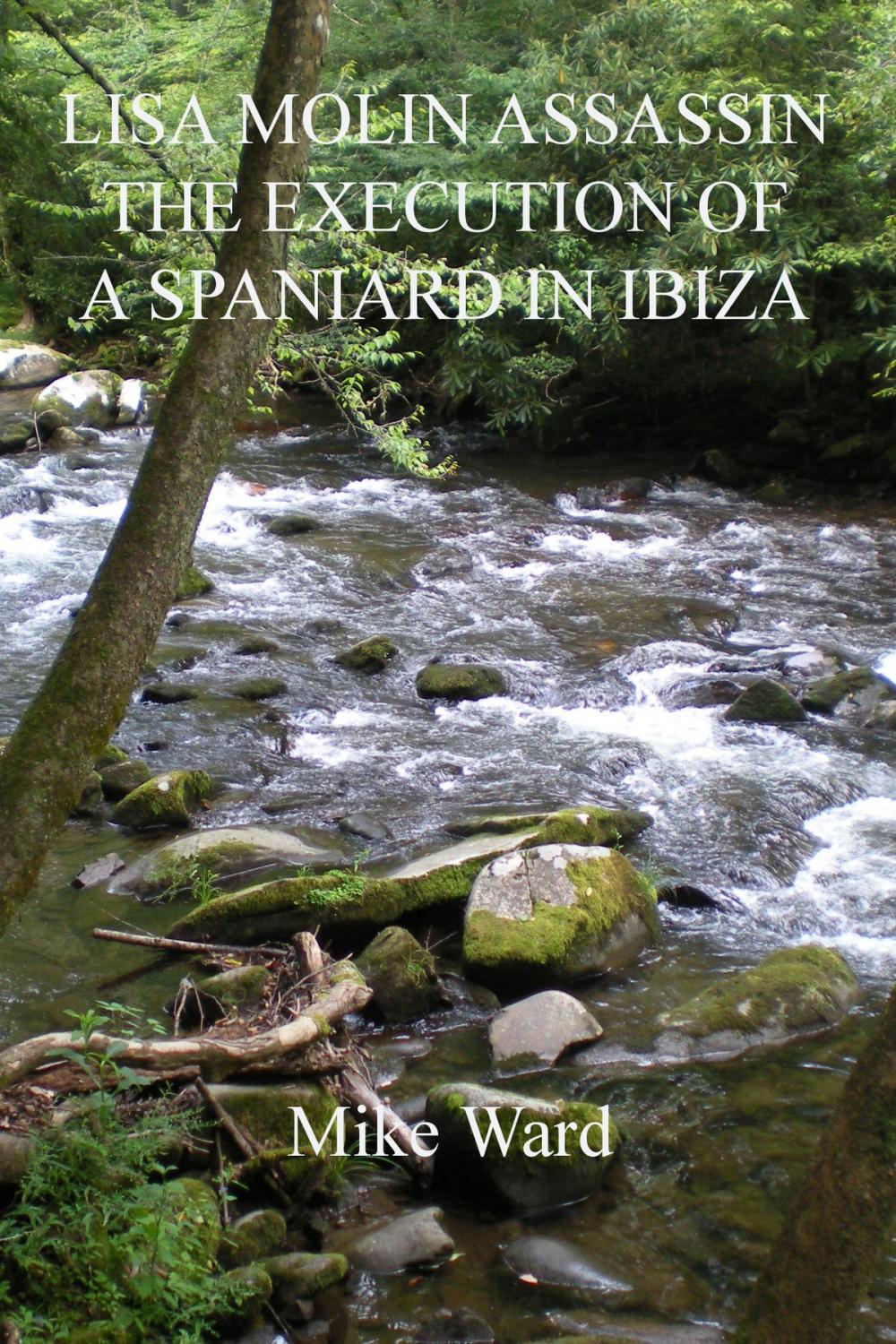 Big bigCover of Lisa Molin Assassin: The Execution of a Spaniard in Ibiza