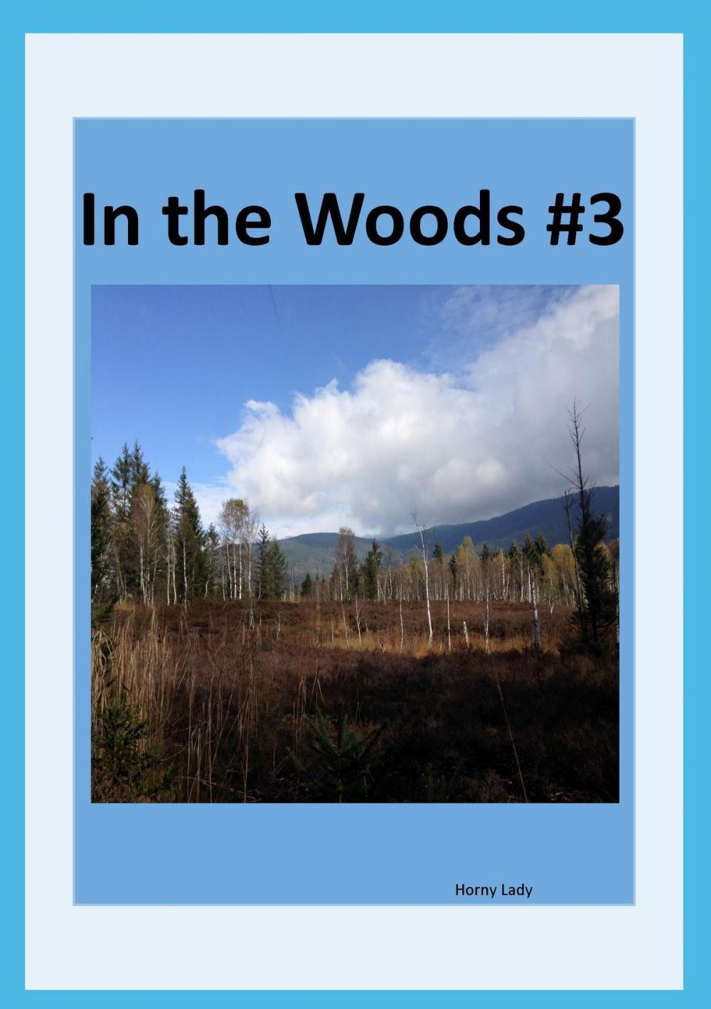 Big bigCover of In the Woods #3