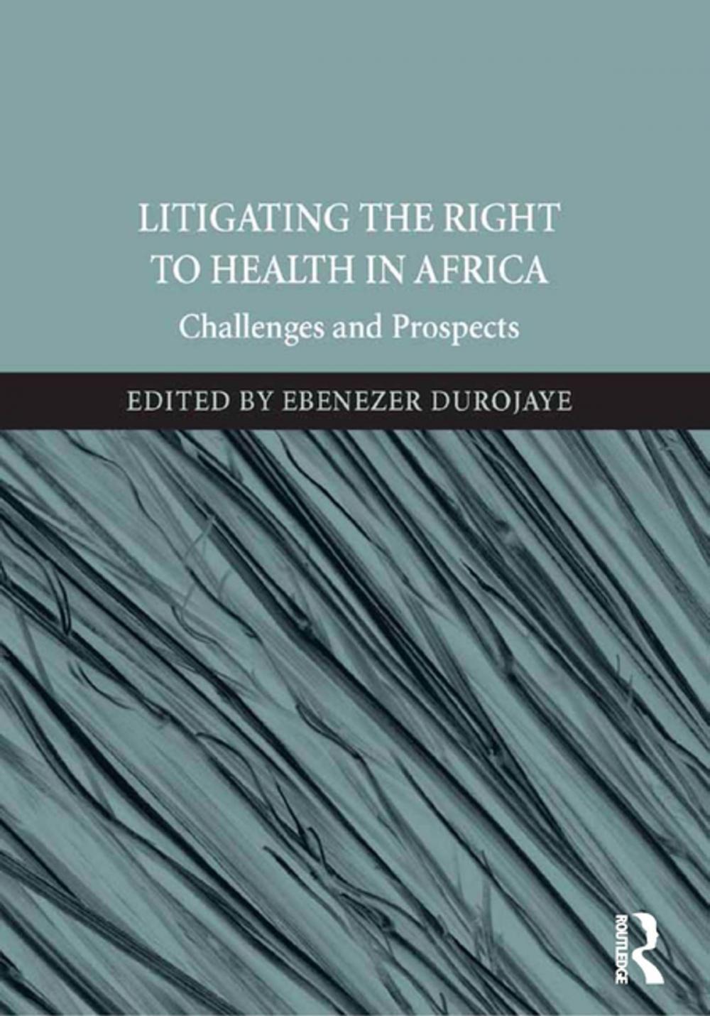 Big bigCover of Litigating the Right to Health in Africa