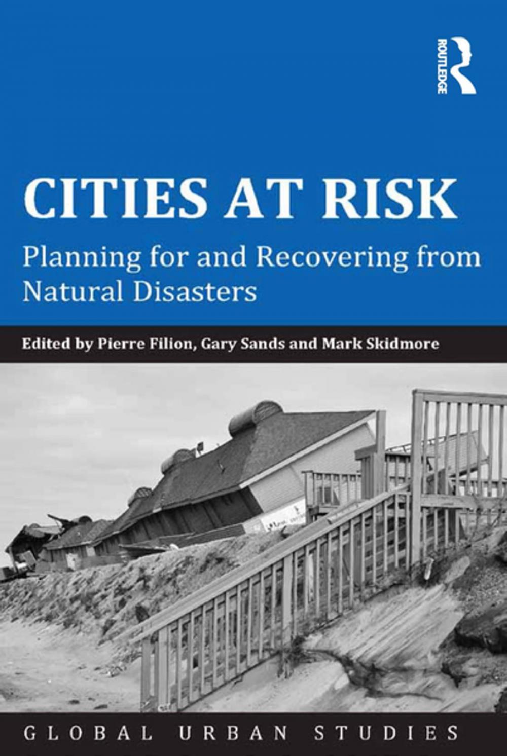 Big bigCover of Cities at Risk