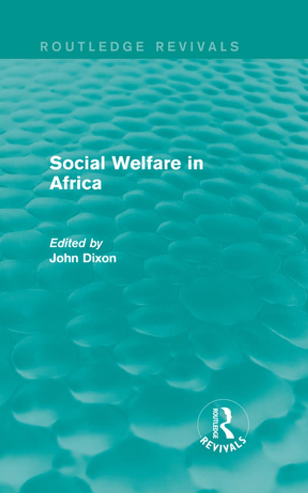 Big bigCover of Social Welfare in Africa