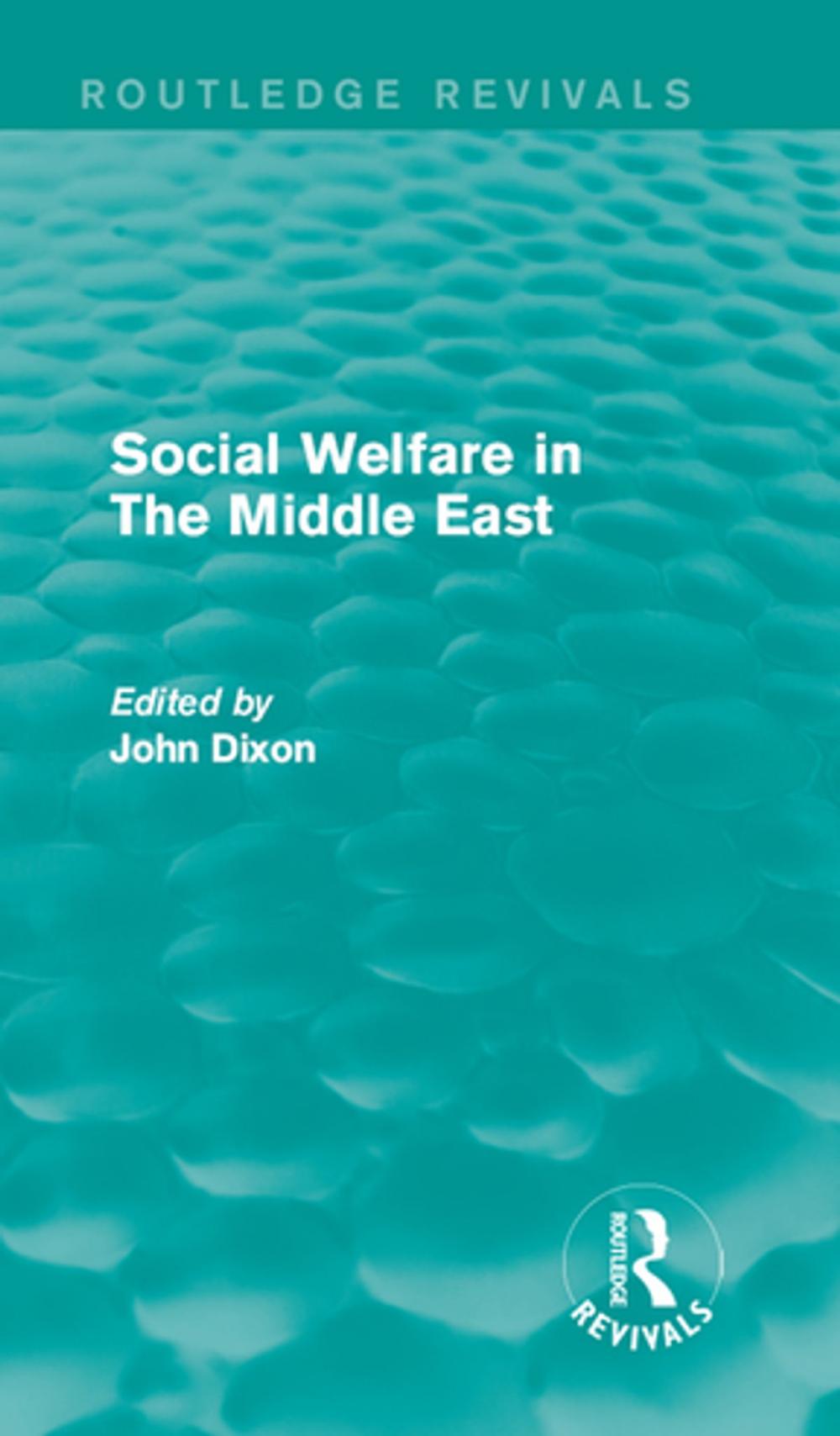 Big bigCover of Social Welfare in The Middle East