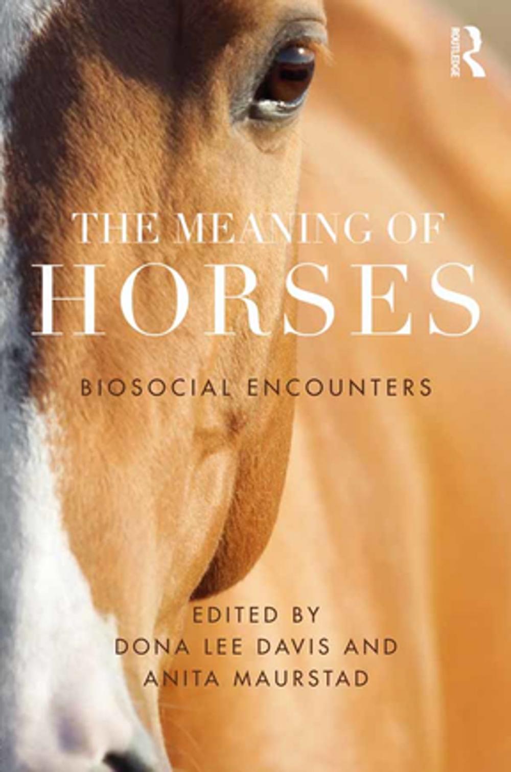 Big bigCover of The Meaning of Horses