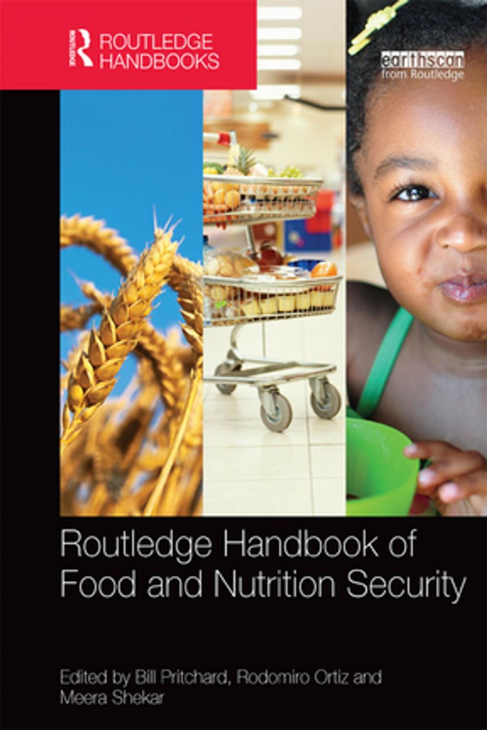 Big bigCover of Routledge Handbook of Food and Nutrition Security