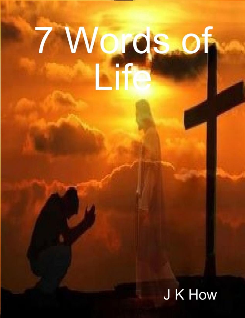 Big bigCover of 7 Words of Life