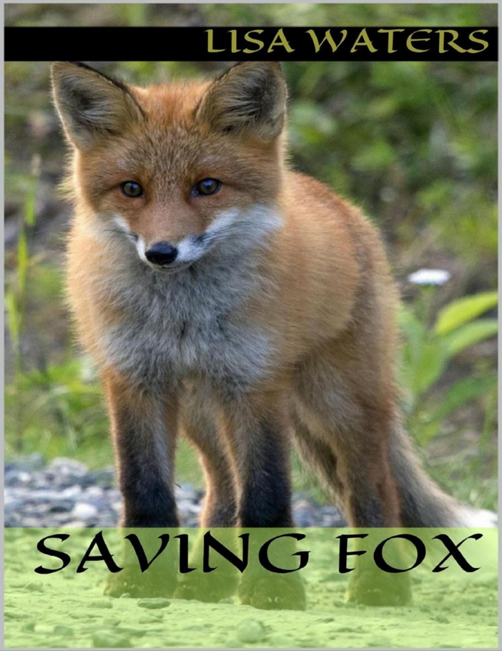 Big bigCover of Saving Fox